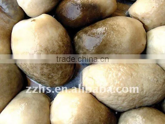 Canned Straw Mushroom in China
