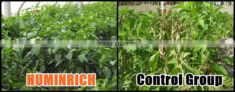 Huminrich Solubility High Quality Increase Vegetable Yield Potassium Humate Fertilizer