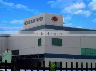 Suzhou Gold Sun Paper Co., Ltd. company overview - view 3