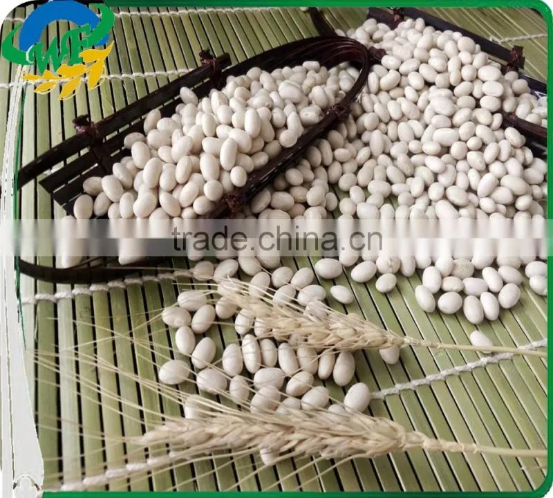 Chinese White Kidney Beans (navy type)