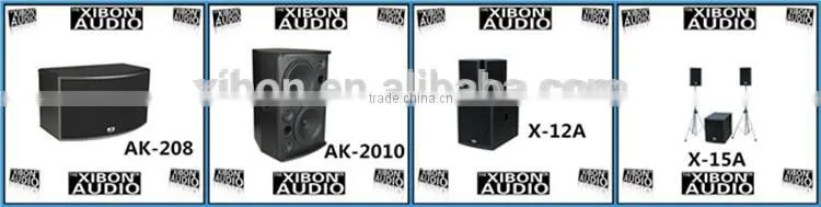 Good design cheap professional speaker
