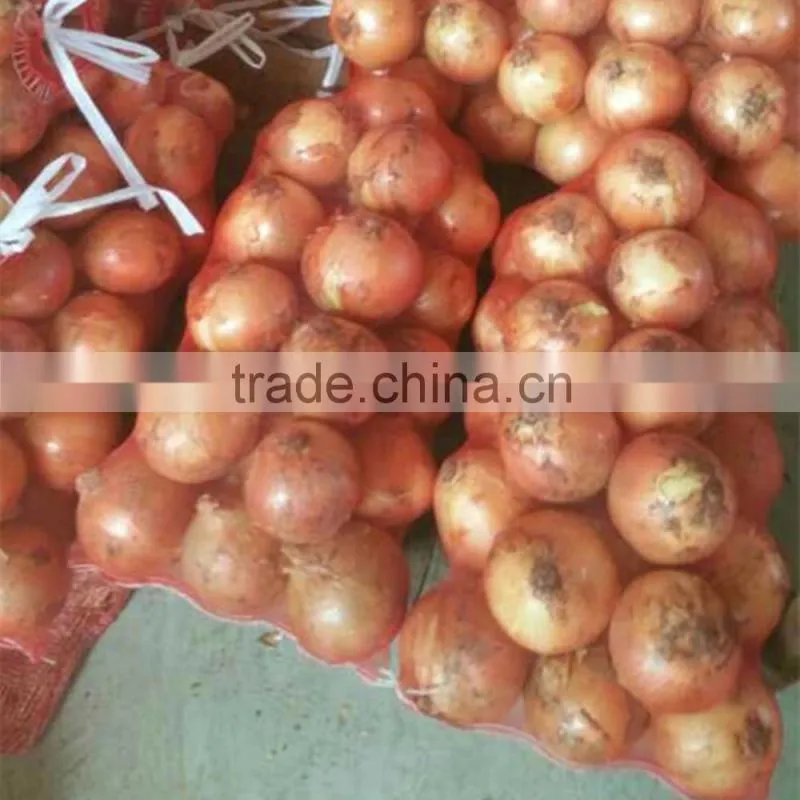Fresh red/yellow onion high quality from China