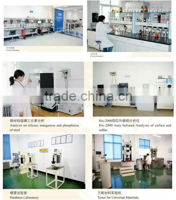CD/MD Wire Rope Electric Hoist