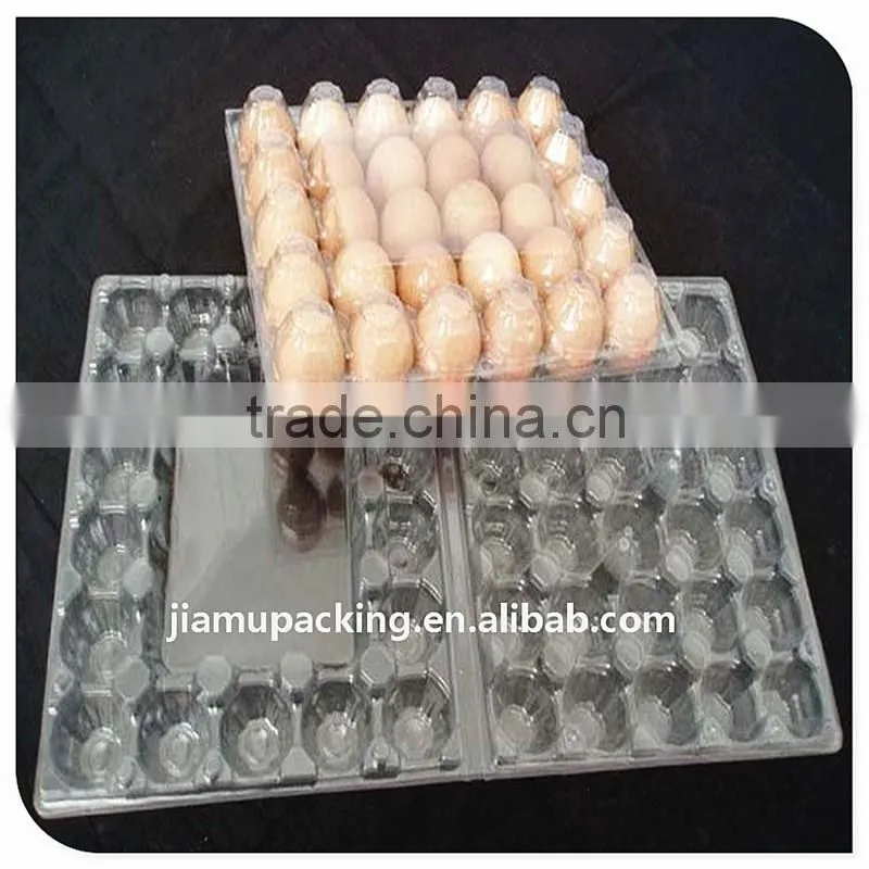 clear plastic chicken egg tray for thirty eggs