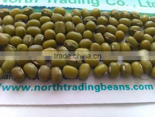 Organic Green Mung Bean( 2010 Crop, Heilongjiang Origin. Hps quality)