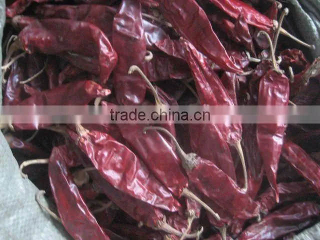 dried red chilli