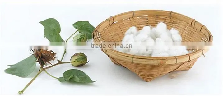 Supply High Quality Chinese 100% Cotton Textile Fabric