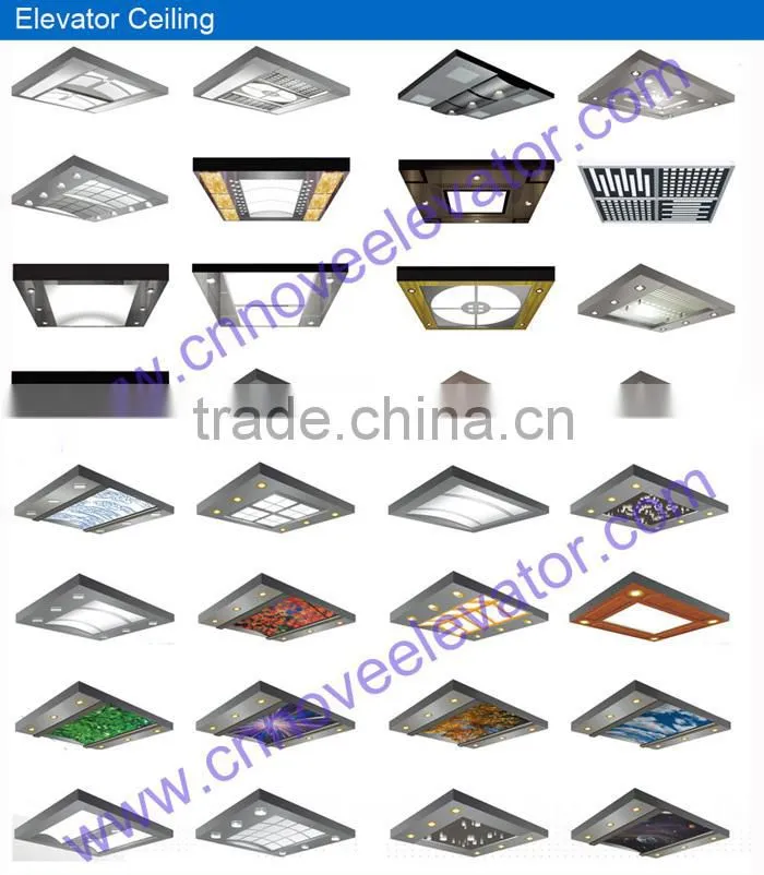 Passenger Elevator, Passenger Conveyors, Residential Elevators