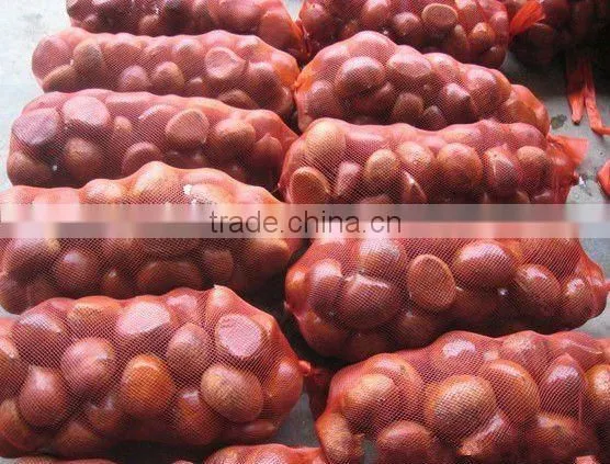 2013 Chinese chestnut