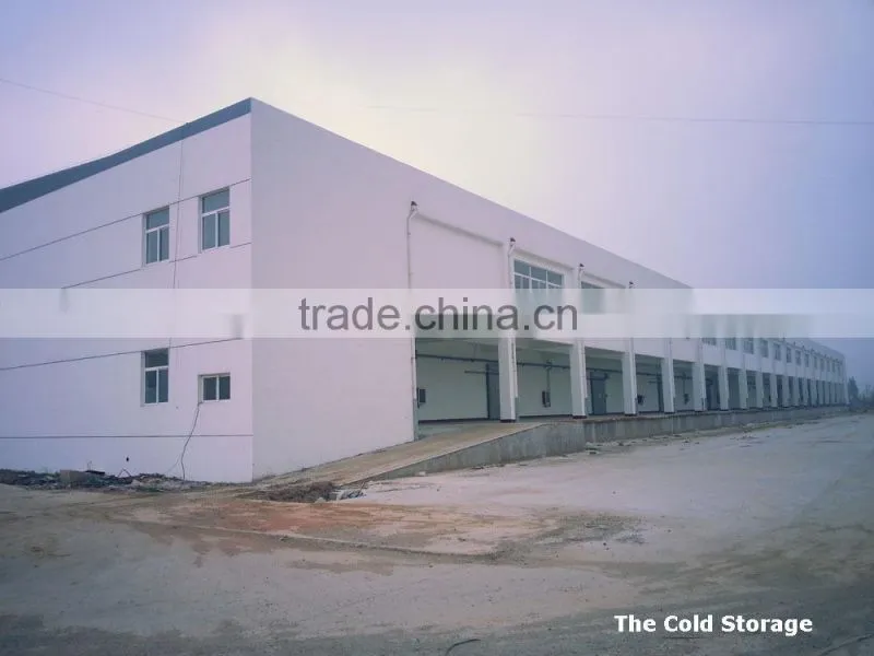 Dehydrated Onion Flakes/Granules/Powder for Different Specification