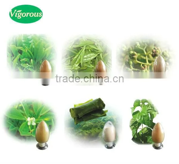Top High Quality 95% organic natural Inulin/synanthrin from Jerusalem artichoke dietary fiber inulin powder