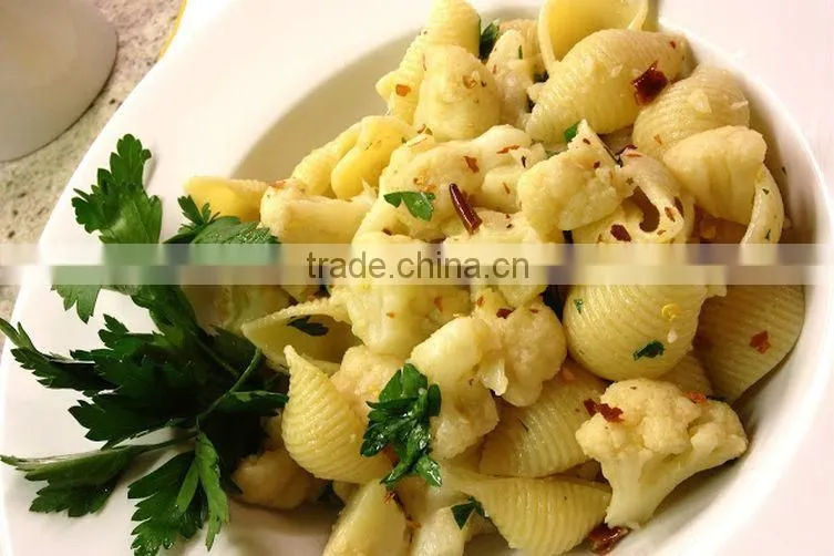 Mediterranean Shell Pasta, Durum Wheat Semolina Shells, shells with Halal certification. Hot Sell Shell Pasta 500g bag.