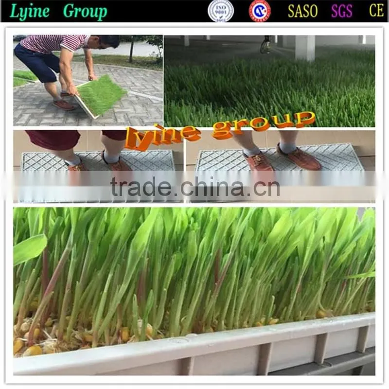 2016 Hot Selling large plastic trays