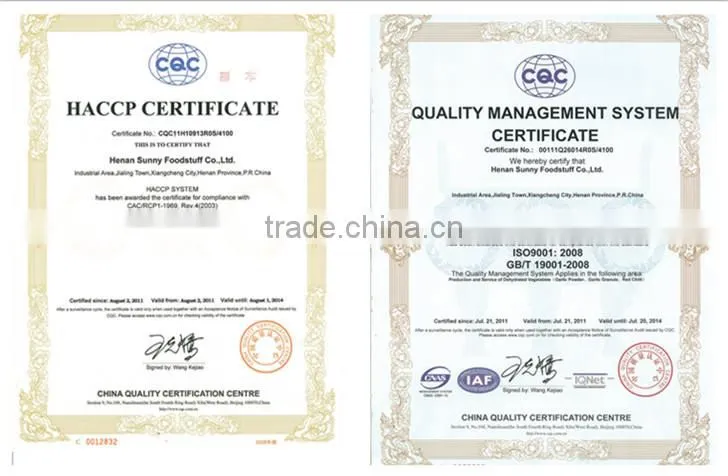 Specialized Production Dehydrated Garlic Powder