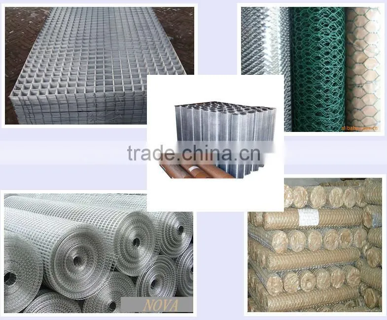 China supplier, animal wire mesh/chicken netting/chicken cage