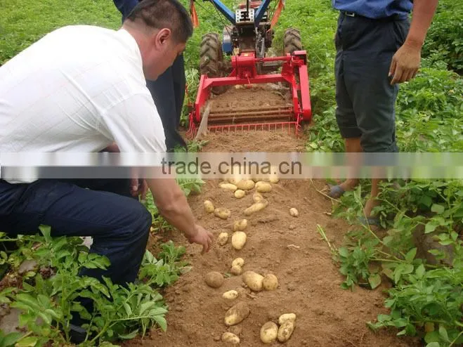 fine quality potato harvester powered by walking tractor