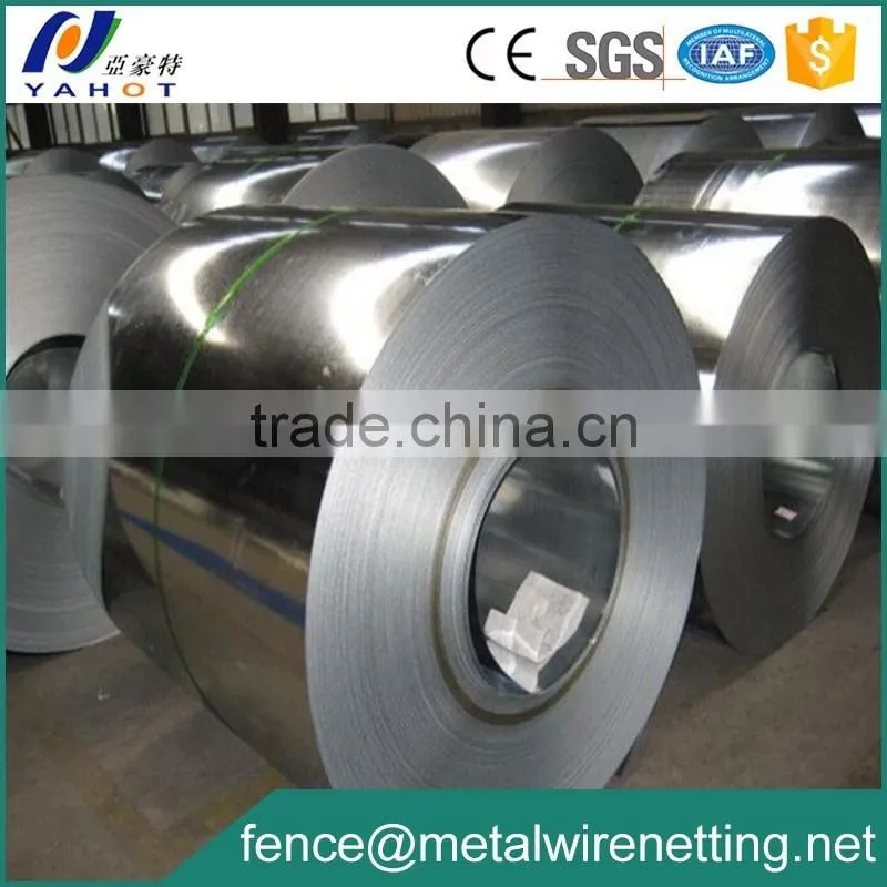 1250mm Galvanized Iron Steel Coil