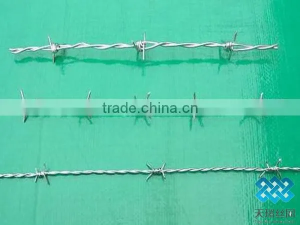 best price and quality of barbed wire manufacture