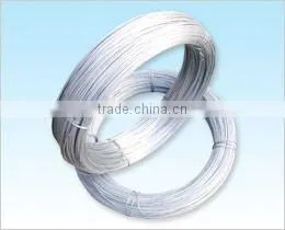 2013 Autumn Canton Fair 16.3H05 BWG22&8KG Electric Galvanized Iron Wire(factory)