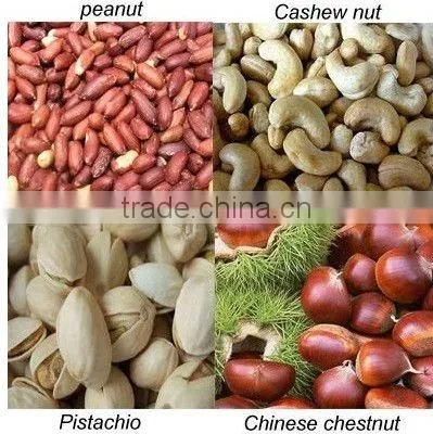 Peanut roasting equipment