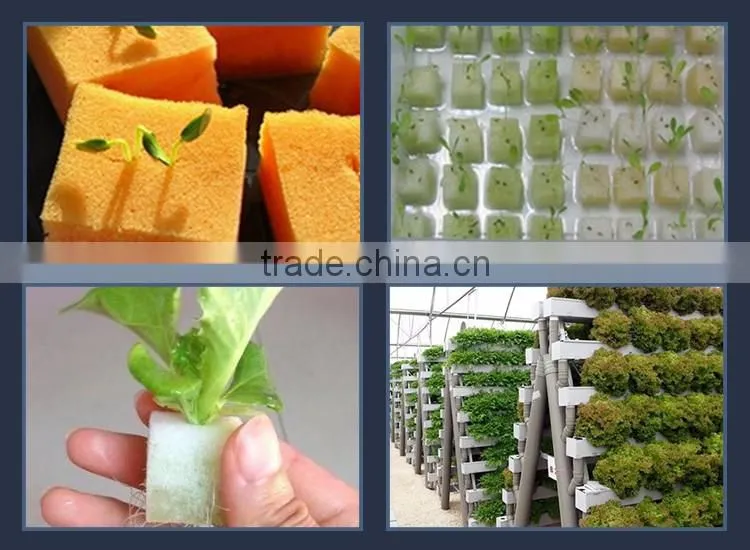 Agricultural Hydroponic Grow Systems foam tray seed