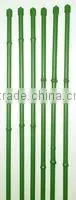 PLASTIC COATED PIPES