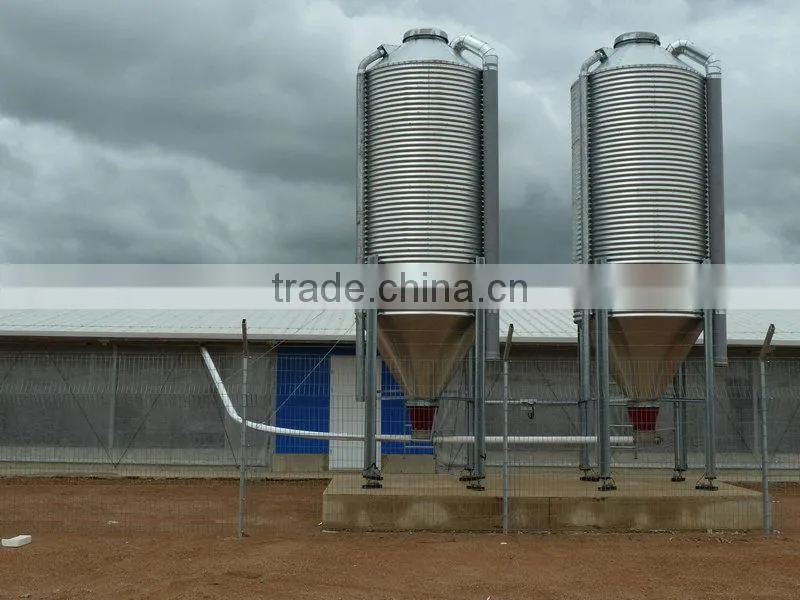 2625 m2 steel structure chicken house in Ukraine