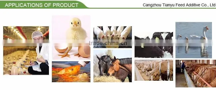 choline chloride/best price Choline Chloride 60% for poultry feed
