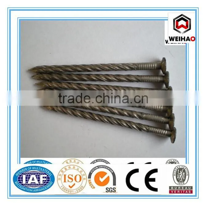 Factory in China Double Head Nail/Duplex Head Nail