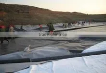 geomembrane liner