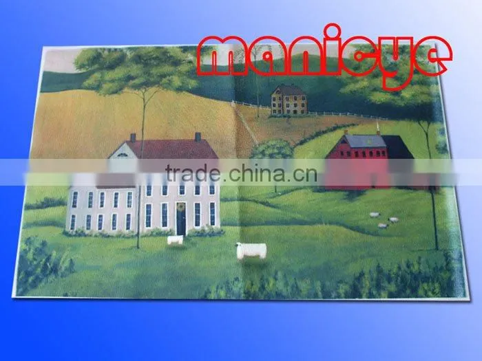 Printing nonwoven felt