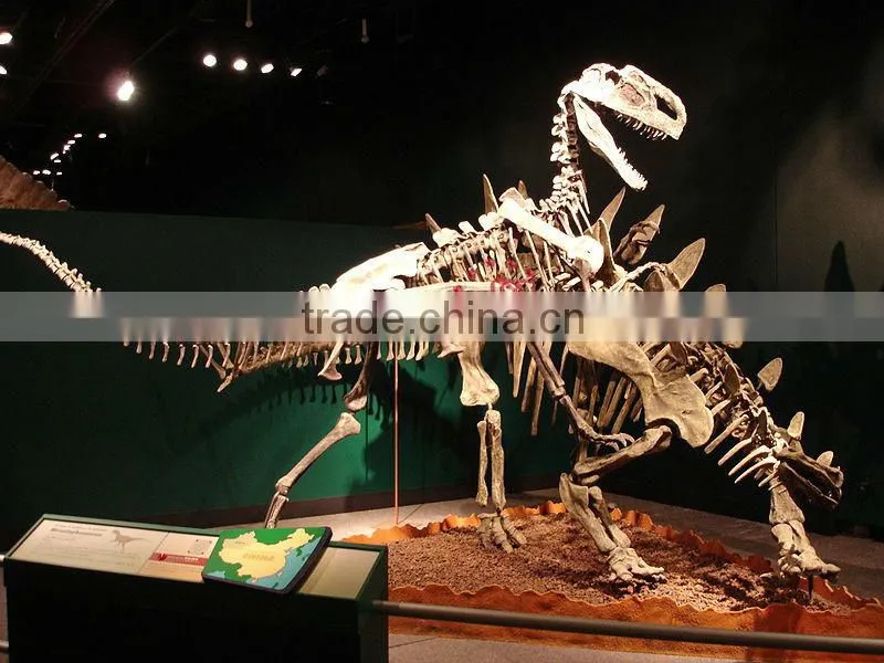 Artificail Simulation Dinosaur Skeleton Fossil For Museum