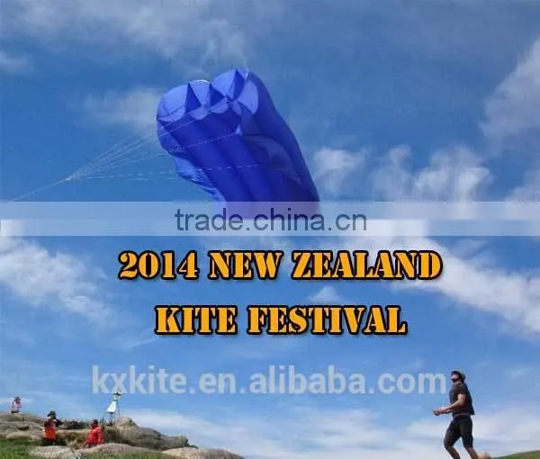 Durable Ripstop Nylon 3D Inflatable kite