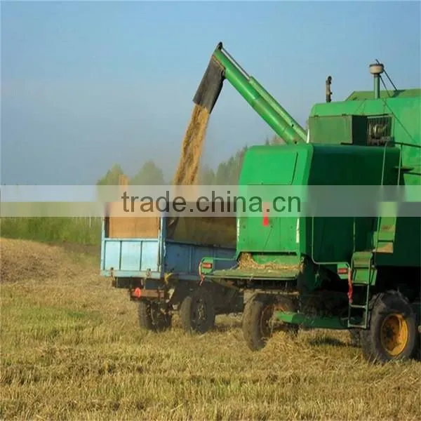 Australian high quality barley can be used for barley tea processing