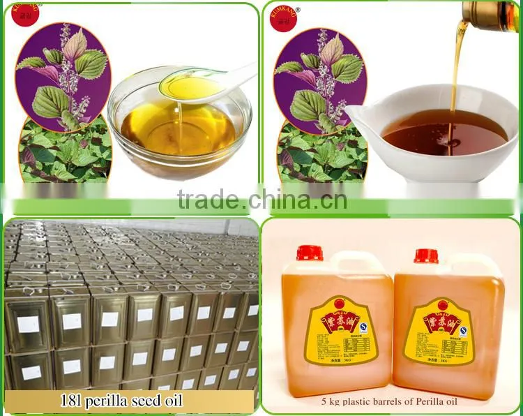 high quality perilla seed oil