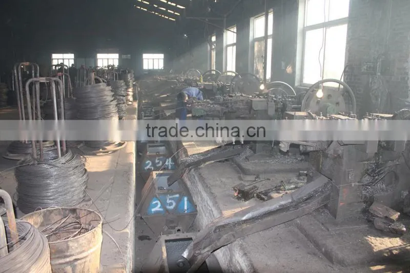 Bluekin 2 inch galvanized concrete steel nail