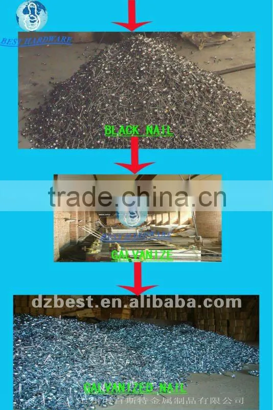 9bwg straight umbrella head galvanized roofing nails