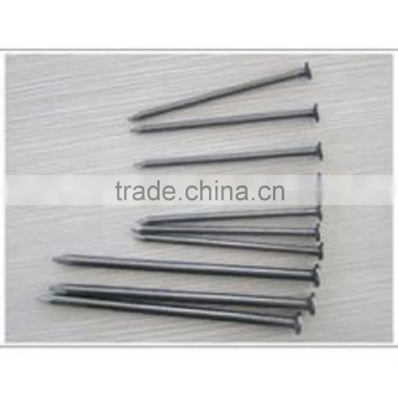 REAL FACTORY Common Iron Nails with Best Quality