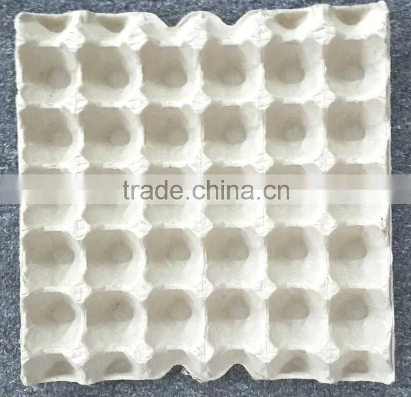 EGG TRAY