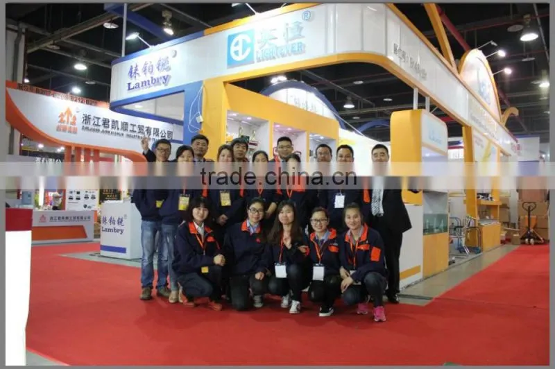 Mini 300kg electronic weighing crane scale