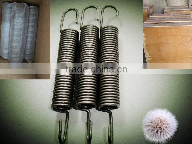 Stainless steel spring