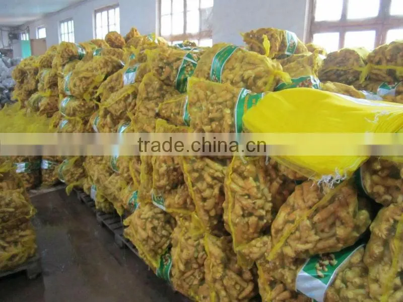 new crop of ginger/Europe quality level