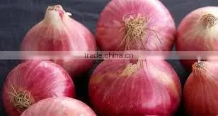 Brand new onion
