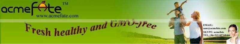 Small Chocolate Candy Hot Selling Product Button Chocolate