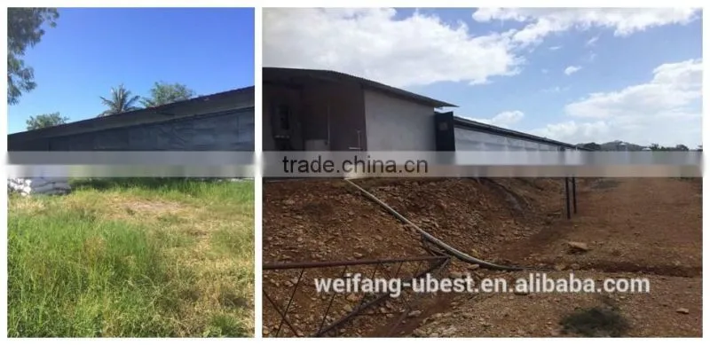 automatic rearing breeders chicken farm equipment