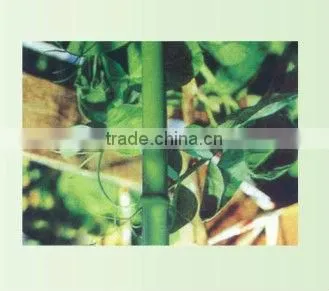 steel stake PE Coated
