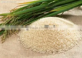 hot selling small rice threshing machine