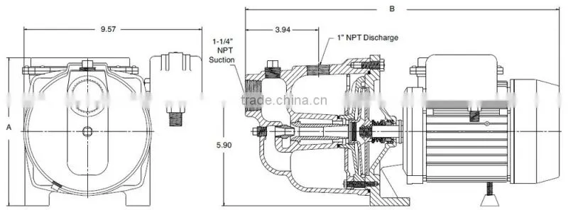 Taiwan Made DIY Heavy Duty Quick Draw Shallow Well Jet Pumps
