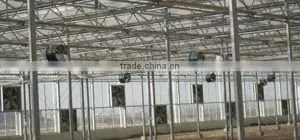 air circulation fan in vegetable greenhouse