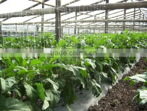 Climbing plant support trellis netting